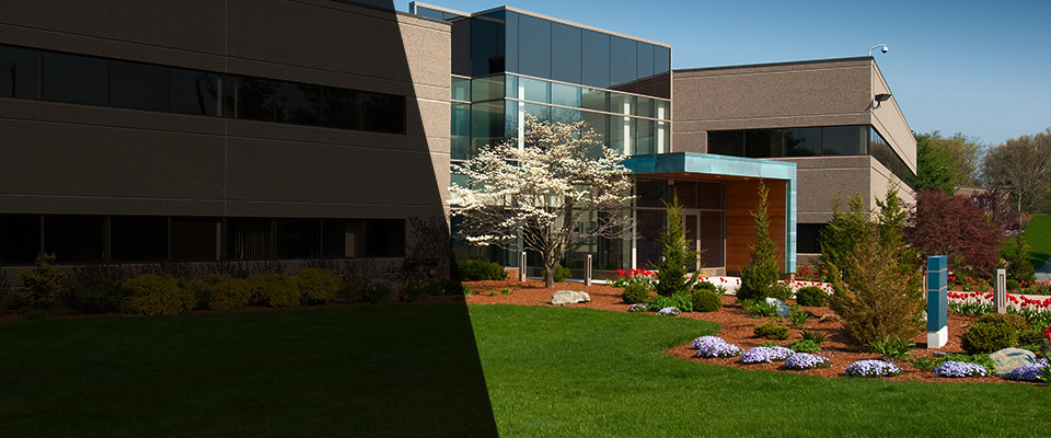 Playa Del Rey Landscapers