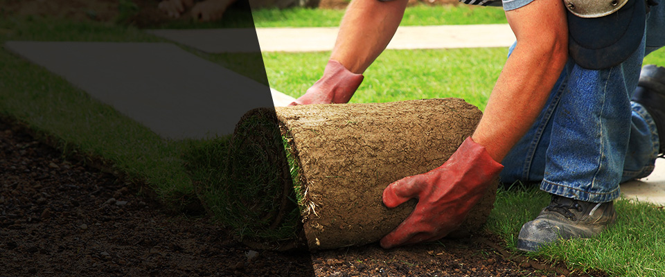 Playa Del Rey Landscapers